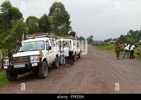 Virunga-Nationalpark, auf der Straße zwischen Goma und Rutshuru, Provinz Nord-Kivu, demokratische Republik Kongo, demokratische Republik Kongo, Zentral-Afrika. Stockfoto