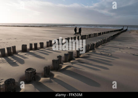 Strang, Buhne, Domburg, Nordsee-Küste, Provinz Seeland, Niederlande | Strand, Buhne, Domburg, Nordseeküste, Zeeland, Hollands Stockfoto