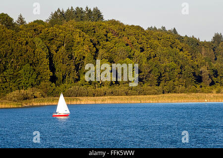 Kleines Segelboot auf See Chiemsee, Chiemgau, Oberbayern, Deutschland, Europa Stockfoto