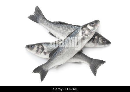 Rohe ganze Meer Bässe auf weißem Hintergrund Stockfoto