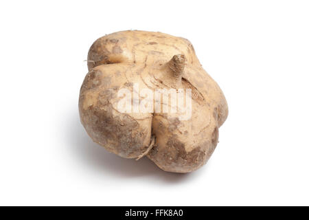 Ganz einzigen frisch isolierte Jicama auf weißem Hintergrund Stockfoto