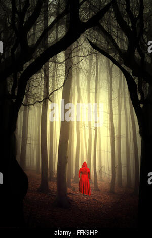 Zauberwald Stockfoto