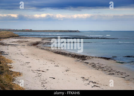 Beadnell Strand, Northumberland Stockfoto