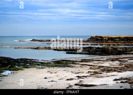 Beadnell Strand, Northumberland Stockfoto