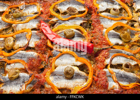 Traditionelle marokkanische Sardine Gericht Rezept mit Oliven, Paprika und Chili Peppe full-frame Stockfoto