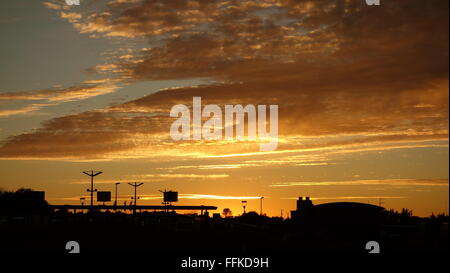 Nach Sonnenuntergang in Hirtshals, Dänemark. Vogelschwarm über den Himmel fliegen. Stockfoto