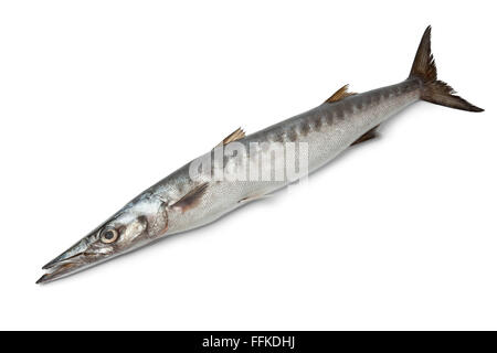 Ganze einzelne Barracuda Frischfisch auf weißem Hintergrund Stockfoto