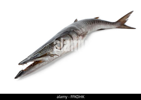 Ganze einzelne Barracuda Frischfisch auf weißem Hintergrund Stockfoto