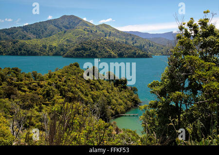 Marlborough Sounds in der Nähe von Picton, Südinsel, Neuseeland Stockfoto