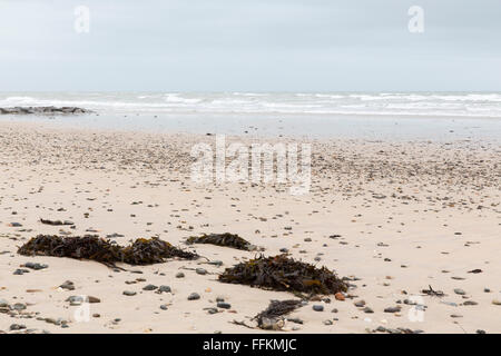 Frankreich Normandie Manche Cotentin Strand Wellen Urlaub Stockfoto