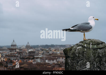 Eine Möwe vor einen Blick auf eine künstlerisch verschwommene Sicht auf Rom an einem sehr bewölkten Tag. Stockfoto
