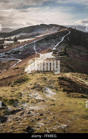 Katzenauge hinteren Grat vom Knockfarrel Hill in Strathpeffer, Schottland. Stockfoto