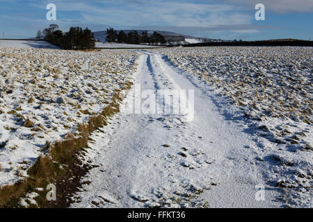 Eine verschneite Spur am oberen Teesdale im County Durham, England. Schnee Stäube Feld. Stockfoto