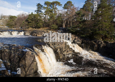 Geringe Kraft auf den Fluss Tees am oberen Teesdale im County Durham, England. Das Wasser läuft weiß. Stockfoto