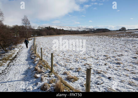 Eine Frau zu Fuß auf der Pennine Way am oberen Teesdale im County Durham, England. Schnee Stäube die Landschaft. Stockfoto