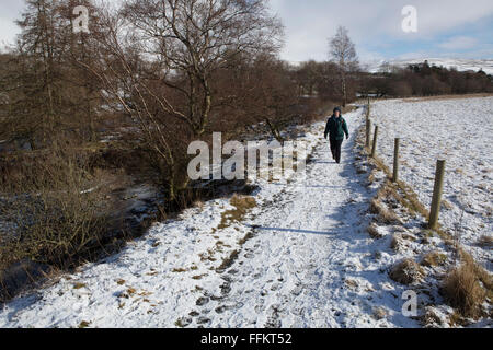 Eine Frau zu Fuß auf der Pennine Way am oberen Teesdale im County Durham, England. Schnee Stäube die Landschaft. Stockfoto