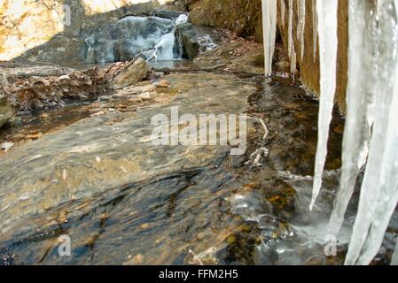 Auf der Suche nach oben Raven Rock Falls in Maryland. Stockfoto