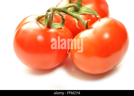 Perfekte rote Tomaten Isolated Over White Stockfoto