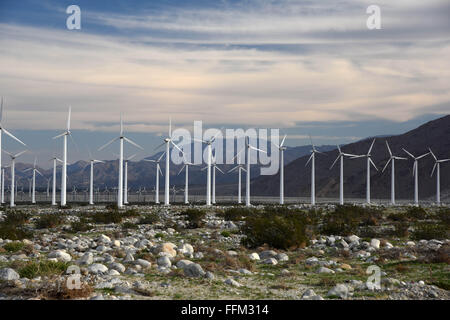 Rancho Mirage, Vereinigte Staaten. 14. Februar 2016. Windkraftanlagen sind im San Gorgonio Windpark in der Nähe von Rancho Mirage, Kalifornien, USA, 14. Februar 2016 gesehen. Der Windpark enthält mehr als 4000 separate Windmühlen und liefert genug Strom für Palm Springs und die gesamte Coachella Valley. © Yin Bogu/Xinhua/Alamy Live-Nachrichten Stockfoto