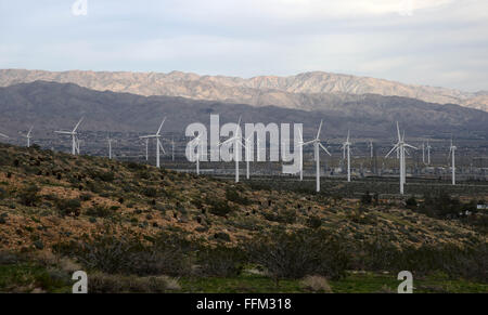 Rancho Mirage, Vereinigte Staaten. 14. Februar 2016. Windkraftanlagen sind im San Gorgonio Windpark in der Nähe von Rancho Mirage, Kalifornien, USA, 14. Februar 2016 gesehen. Der Windpark enthält mehr als 4000 separate Windmühlen und liefert genug Strom für Palm Springs und die gesamte Coachella Valley. © Yin Bogu/Xinhua/Alamy Live-Nachrichten Stockfoto