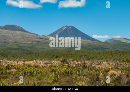 Mt Ngauruhoe, Tongariro NP, New Zealand Stockfoto