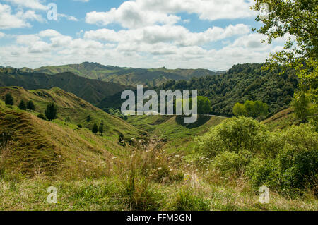 Blick auf vergessen World Highway im King Country, New Zealand Stockfoto