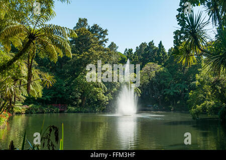 Brunnen in Pukekura Park, New Plymouth, Taranaki, Neuseeland Stockfoto