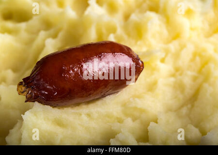 Eine kleine Schweinswürstchen über Kartoffel-Püree Stockfoto