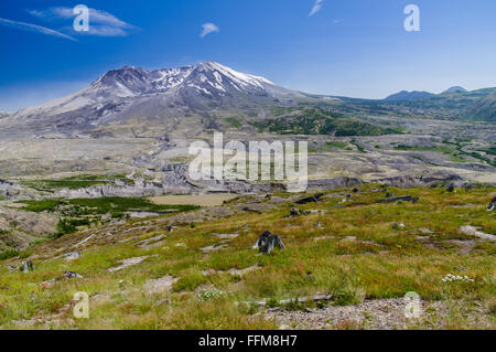 Ansicht des Mount St. Helens zeigt die Überreste des Berges nach dem Ausbruch von 1980. Stockfoto