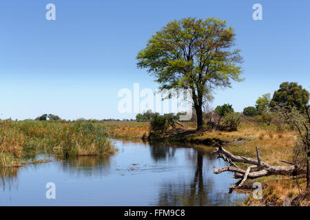 Afrikanische Landschaft, Fluss im Nationalpark Nambwa auf Namibia Caprivi Strip Stockfoto