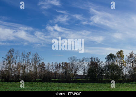 Flauschigen weißen Wolken im blauen Himmel Stockfoto