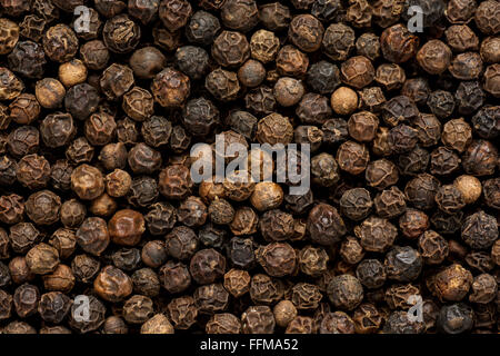 Schwarzer Pfeffer Körner als Hintergrund Nahaufnahme Stockfoto