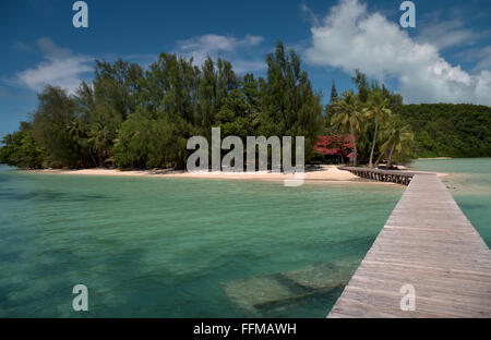 Karpfen-Insel in Palau. Reisen, Wasser der Lagune, Inseln, Atoll, weißen Sand Korallenstrand. Meer, Landschaft, tropisches Paradies, Urlaub Stockfoto