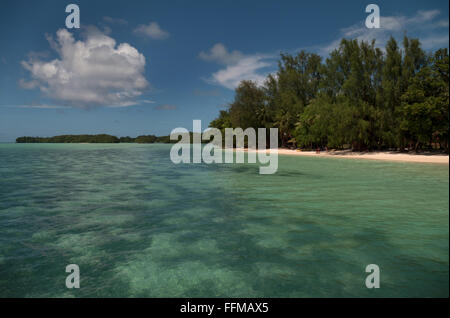 Karpfen-Insel in Palau. Reisen, Wasser der Lagune, Inseln, Atoll, weißen Sand Korallenstrand. Meer, Landschaft, tropisches Paradies, Urlaub Stockfoto