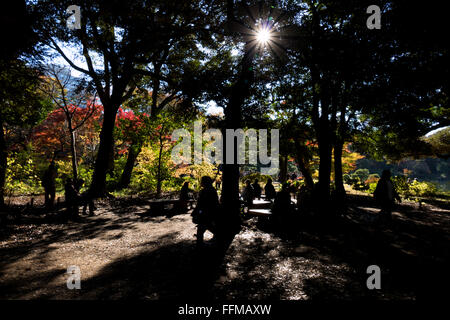 Rikugien Garten, Tokio, Japan. Stadtpark, Garten im Herbst-Saison, Herbst Laub auf den Bäumen. Japanische Kultur, Natur, Landschaft Stockfoto