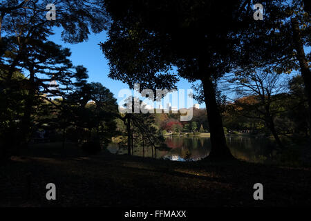 Rikugien Garten, Tokio, Japan. Stadtpark, Garten im Herbst-Saison, Herbst Laub auf den Bäumen. Japanische Kultur, Natur, Landschaft Stockfoto