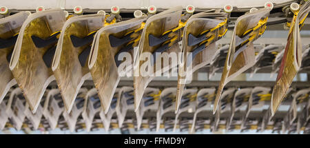 Ahrensburg, Deutschland. 12. Februar 2016. Jubiläums-Edition von der Wochenzeitung "Die Zeit" in der Druckerei des Axel-Springer-Verlags in Ahrensburg, Deutschland, 12. Februar 2016 gedruckt wird. vor 70 Jahren, erschien die erste Ausgabe von "Die Zeit". Foto: Daniel Bockwoldt/Dpa/Alamy Live News Stockfoto