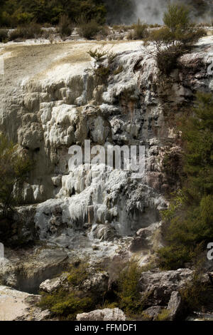 Fünf Meter hohe und 40 Meter lange der Goldenen Vlies Terrasse gehört der Bürgermeister Attraktionen der Orakei Korako in Neuseeland. Stockfoto