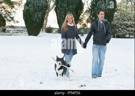 Paare, die Border-Collie-Schäferhund mit Stock im Mund im Schnee auf der Trommel Burg in Aberdeenshire, Schottland. Stockfoto