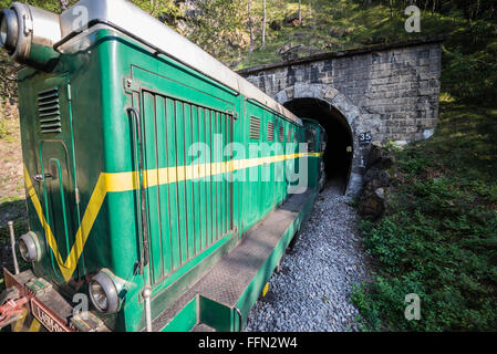 FAUR Diesellok L45H 096 von 1987 Sargan acht Schmalspur-Museumsbahn von Mokra Gora nach Sargan Vitasi, Serbien Stockfoto