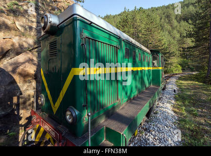 FAUR Diesellok L45H 096 von 1987 Sargan acht Schmalspur-Museumsbahn von Mokra Gora nach Sargan Vitasi, Serbien Stockfoto