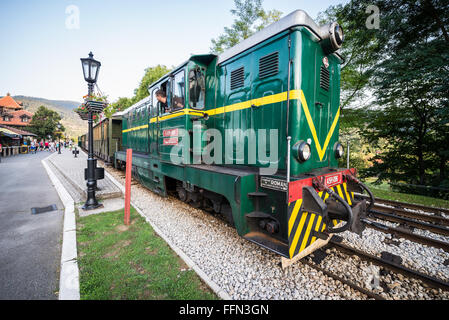 FAUR Diesellok L45H 096 von 1987 Sargan acht Schmalspur-Museumsbahn im Bahnhof Mokra Gora, Serbien Stockfoto