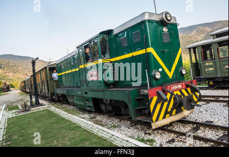 FAUR Diesellok L45H 096 von 1987 Sargan acht Schmalspur-Museumsbahn im Bahnhof Mokra Gora, Serbien Stockfoto