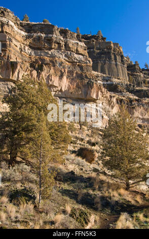 Deschutes River Canyon Hang, Steelhead Falls Wilderness Study Area, Deschutes Wild und Scenic River, Oregon Stockfoto