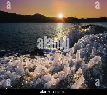 Eis auf der felsigen Ufer von Loch Assynt, Sutherland, N/W Hochland. Stockfoto