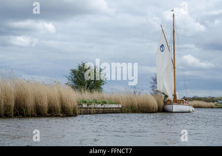 Eine Pleasureboat entlang dem Fluss Bure, Norfolk Broads, Norfolk, England, UK Stockfoto