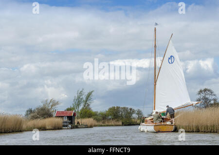 Eine Pleasureboat entlang dem Fluss Bure, Norfolk Broads, Norfolk, England, UK Stockfoto