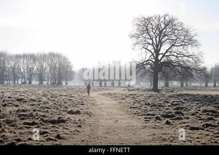 Bushy Park, London, England, UK. 16. Februar 2016. Ein Radfahrer fährt durch Frost bedeckt Rasen nach der kältesten Nacht des Winters in Bushy Park Süd-west London. Bildnachweis: Julia Gavin UK/Alamy Live-Nachrichten Stockfoto