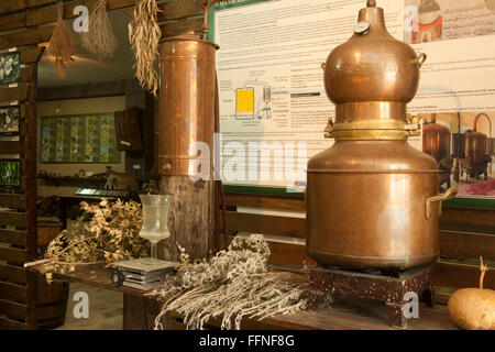 Griechenland, Kreta, Agios Nikolaos, BioAroma, Geschäft für Kräuteröle und Seifen. Here will be cretised craeuter to Schönhits-U Stockfoto