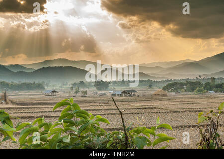 Sonnenstrahlen über Berge und Reisfelder in Pai Amphoe Mae Hong Son, Thailand Stockfoto